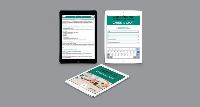 Application guide de médecine interne chien & chat