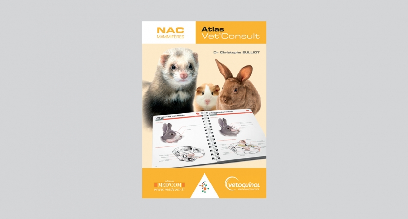 Atlas Vet’Consult NAC – Vetoquinol