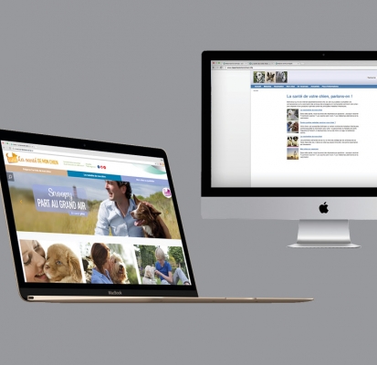 Brand content – MSD