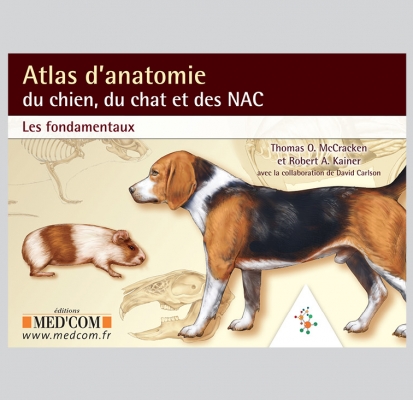 Atlas d’anatomie du chien, du chat et des NAC