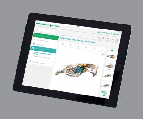 Application Vet’Consult Équin – Vétoquinol