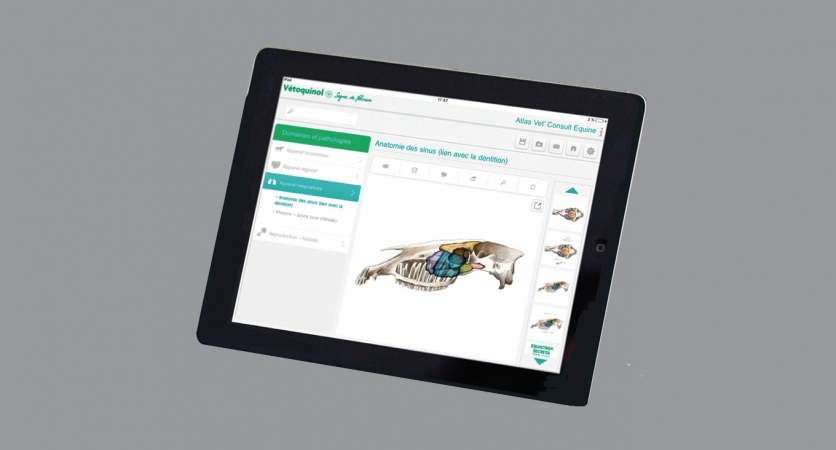 Application Vet’Consult Équin – Vétoquinol